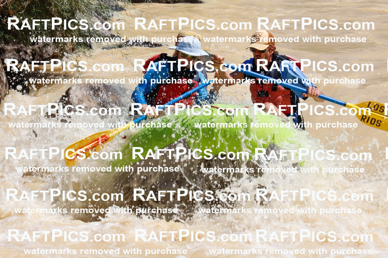 027885_RaftPics_August_14_LosRios_Racecourse_AM_Shay_TC_