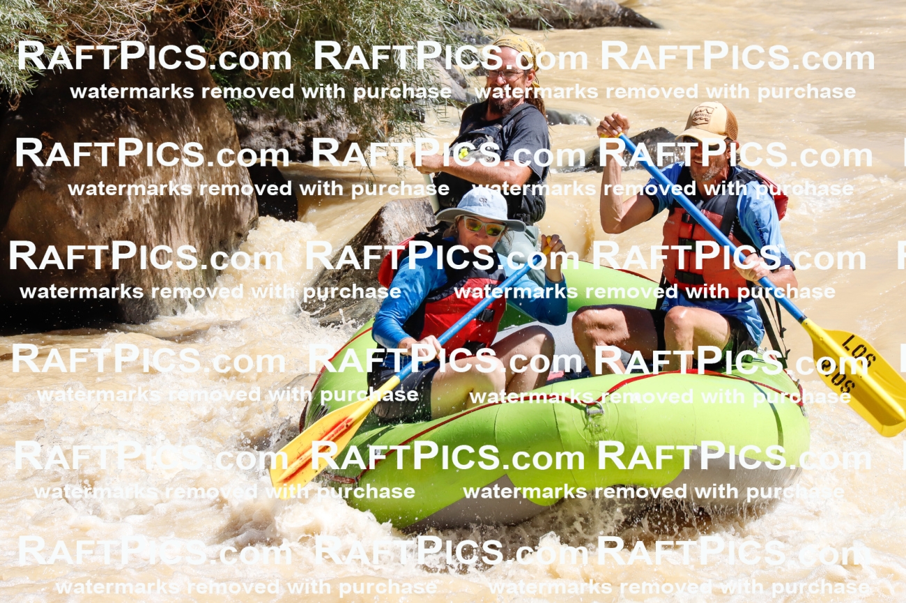 027888_RaftPics_August_14_LosRios_Racecourse_AM_Shay_TC_