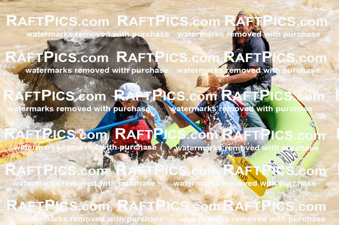 027897_RaftPics_August_14_LosRios_Racecourse_AM_Shay_TC_