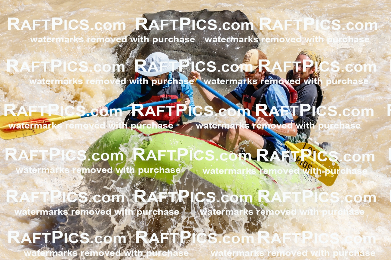 027900_RaftPics_August_14_LosRios_Racecourse_AM_Shay_TC_