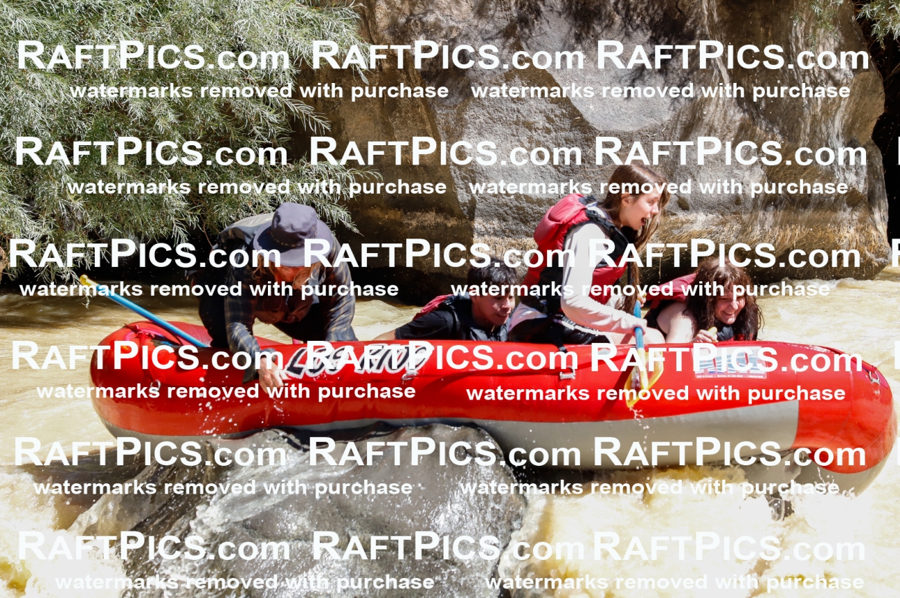 027930_RaftPics_August_14_LosRios_Racecourse_AM_Zach_TC_