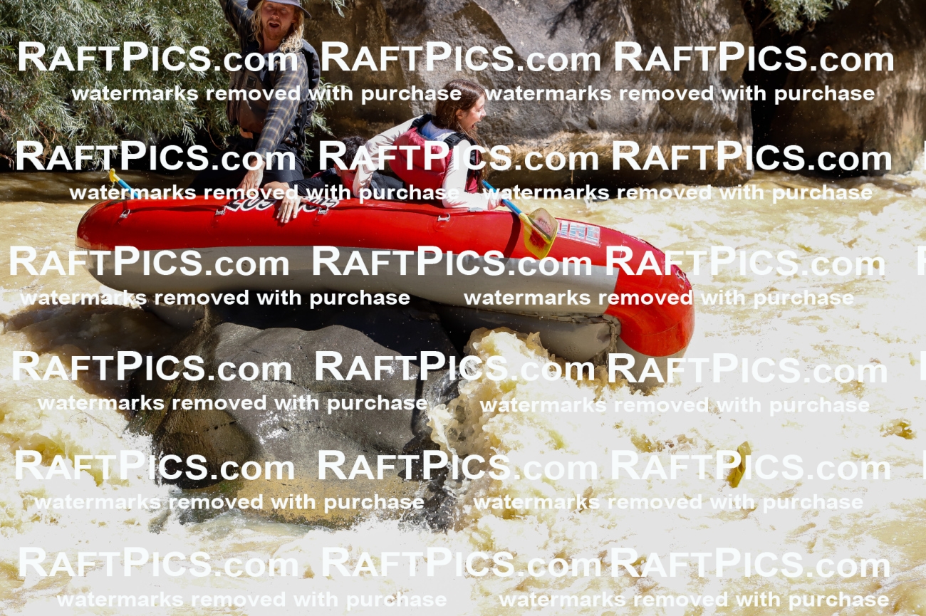 027939_RaftPics_August_14_LosRios_Racecourse_AM_Zach_TC_