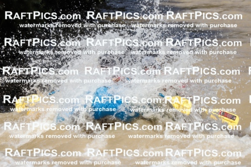 027964_RaftPics_August_14_LosRios_Racecourse_PM_Shay_TC_