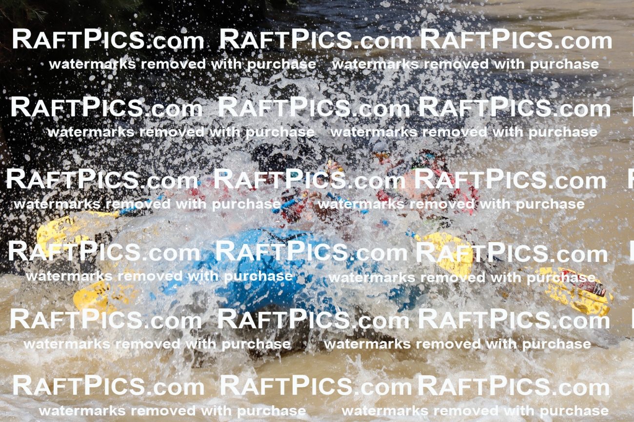 027965_RaftPics_August_14_LosRios_Racecourse_PM_Shay_TC_