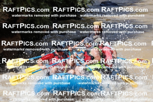 027967_RaftPics_August_14_LosRios_Racecourse_PM_Shay_TC_