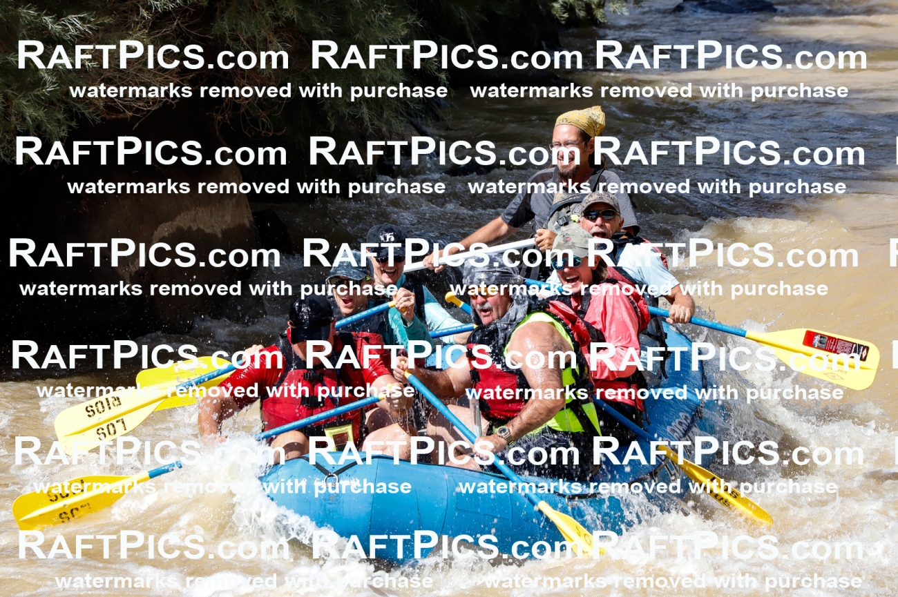 027969_RaftPics_August_14_LosRios_Racecourse_PM_Shay_TC_