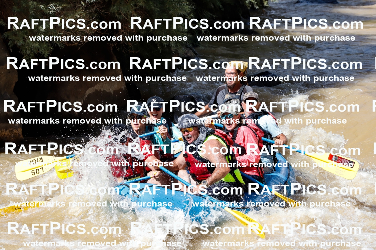 027970_RaftPics_August_14_LosRios_Racecourse_PM_Shay_TC_