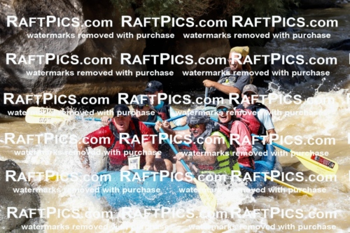 027976_RaftPics_August_14_LosRios_Racecourse_PM_Shay_TC_