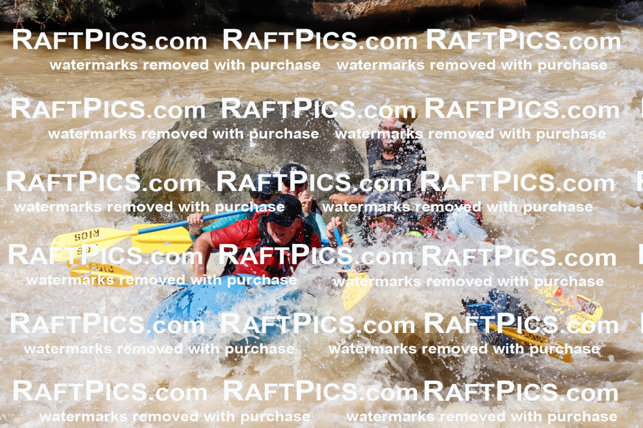 027978_RaftPics_August_14_LosRios_Racecourse_PM_Shay_TC_