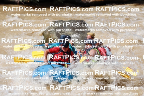 027979_RaftPics_August_14_LosRios_Racecourse_PM_Shay_TC_