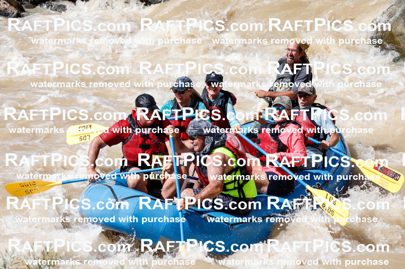 027986_RaftPics_August_14_LosRios_Racecourse_PM_Shay_TC_