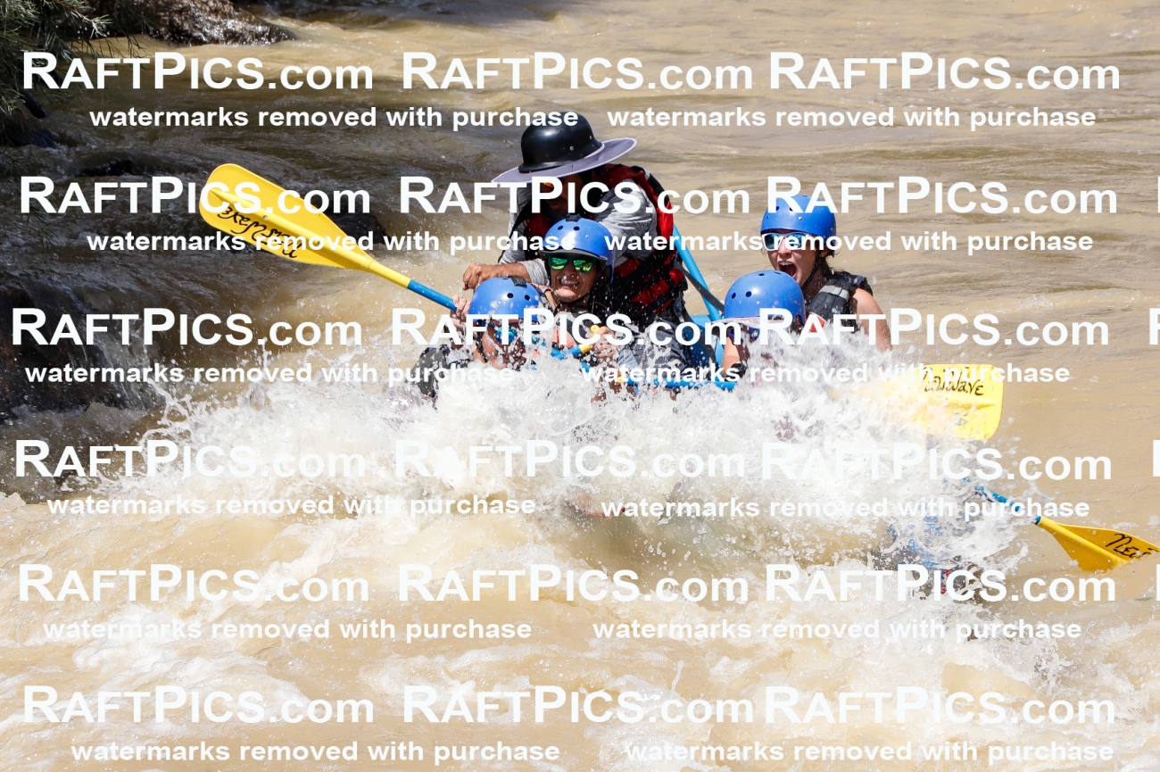 027999_RaftPics_August_14_NewWave_Racecourse_PM_Elias_TC_