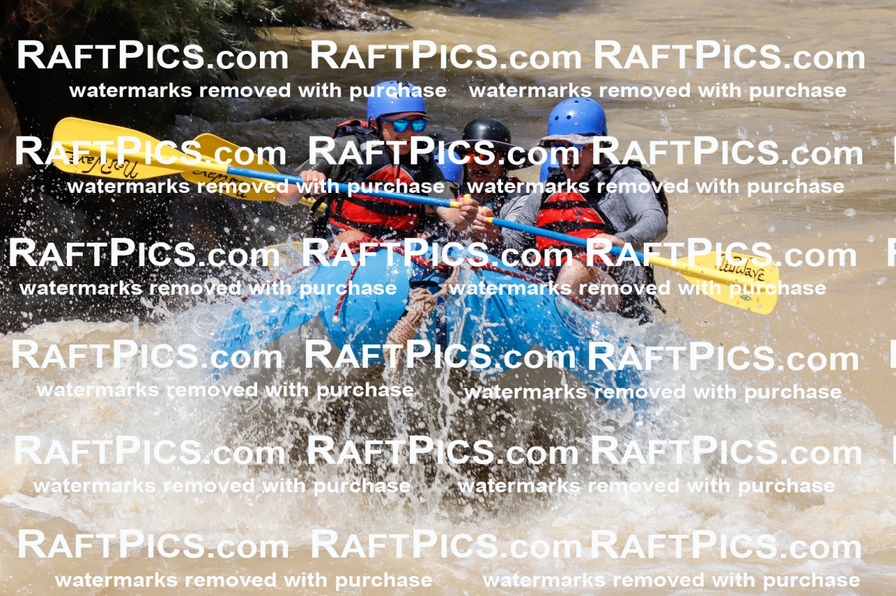 028003_RaftPics_August_14_NewWave_Racecourse_PM_Elias_TC_