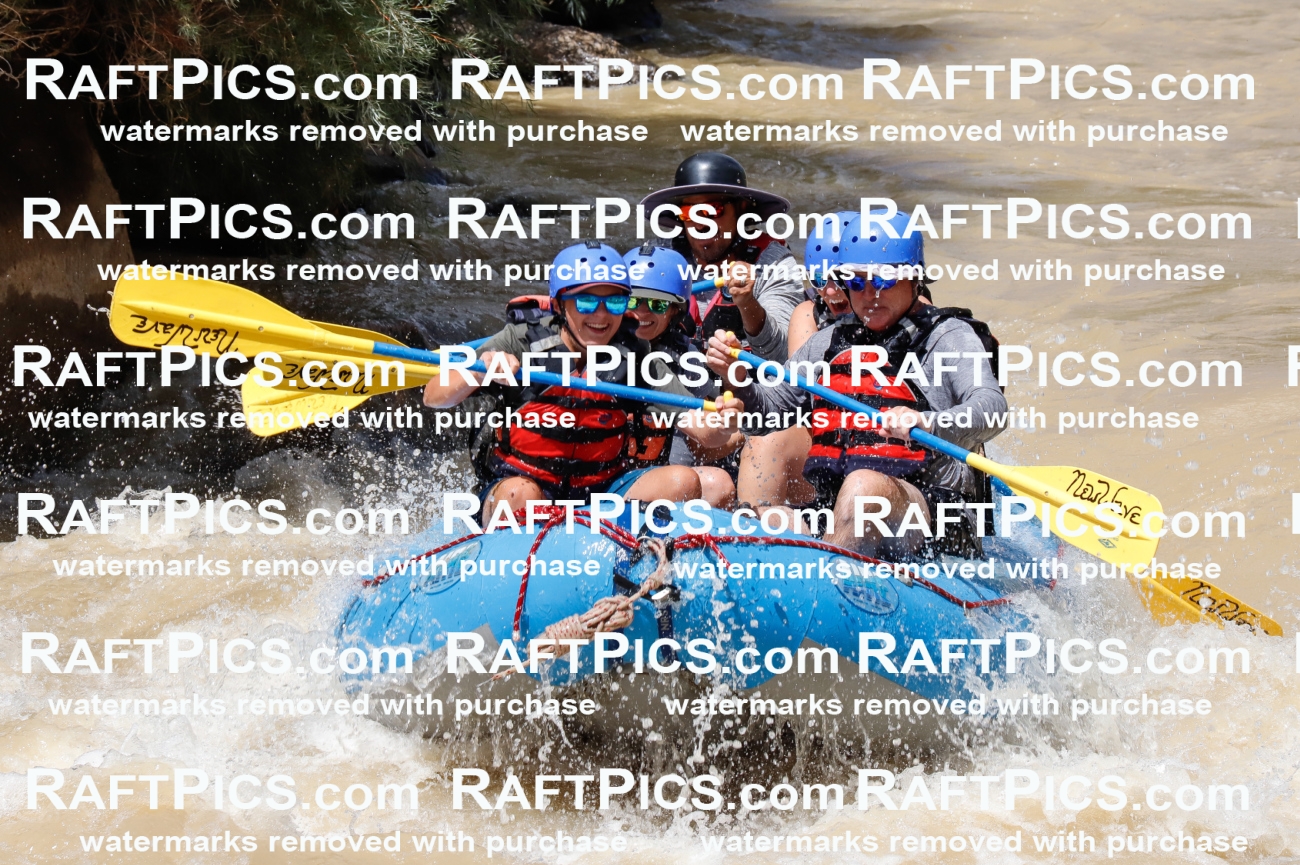 028004_RaftPics_August_14_NewWave_Racecourse_PM_Elias_TC_