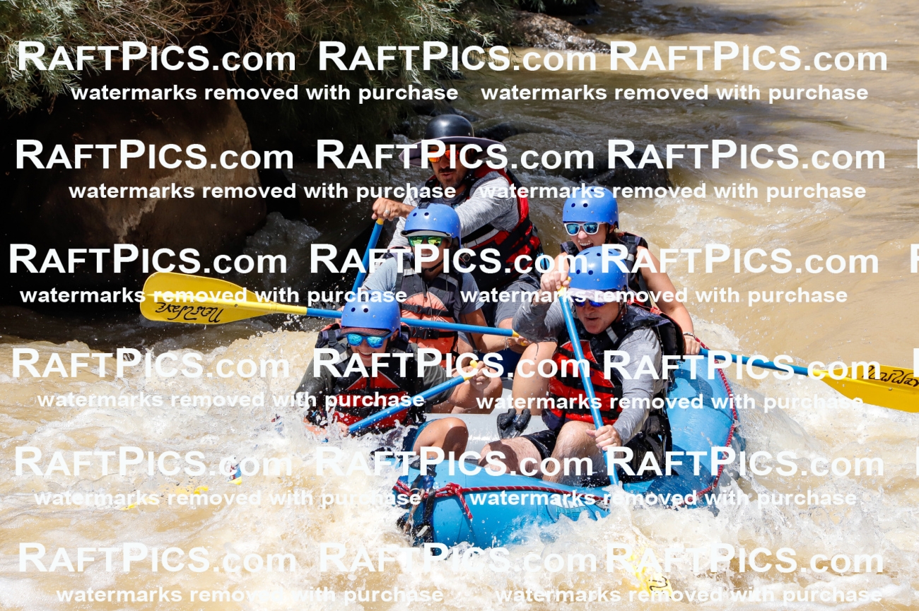 028007_RaftPics_August_14_NewWave_Racecourse_PM_Elias_TC_