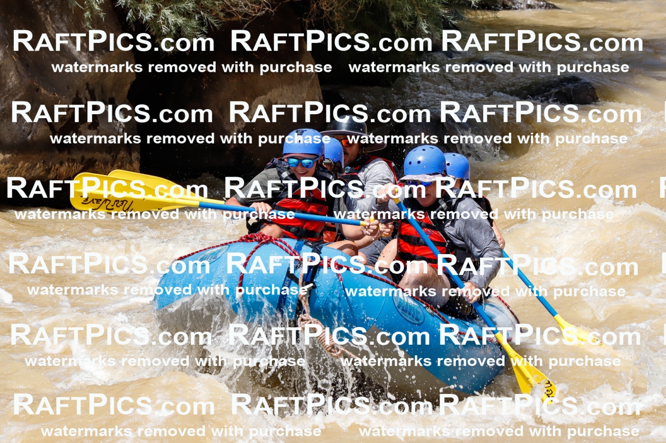 028010_RaftPics_August_14_NewWave_Racecourse_PM_Elias_TC_