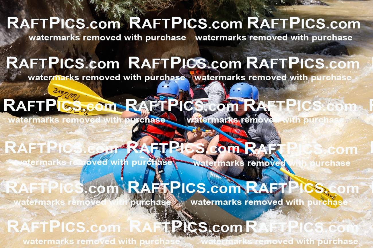 028011_RaftPics_August_14_NewWave_Racecourse_PM_Elias_TC_