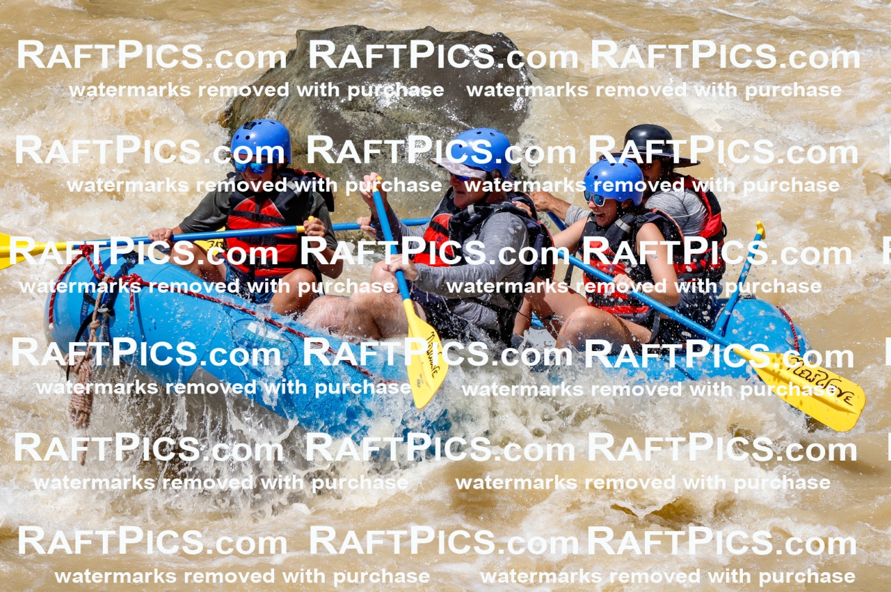 028022_RaftPics_August_14_NewWave_Racecourse_PM_Elias_TC_