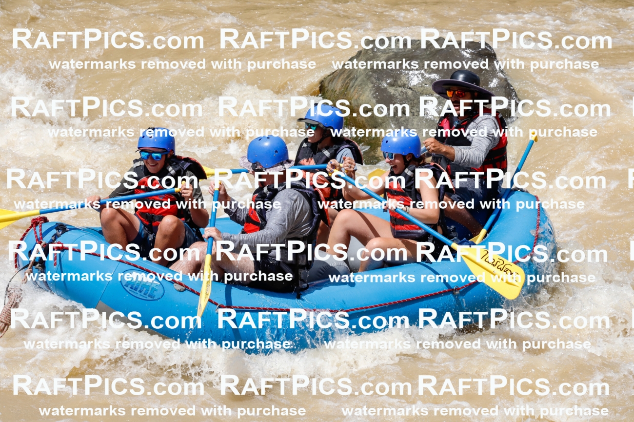 028025_RaftPics_August_14_NewWave_Racecourse_PM_Elias_TC_