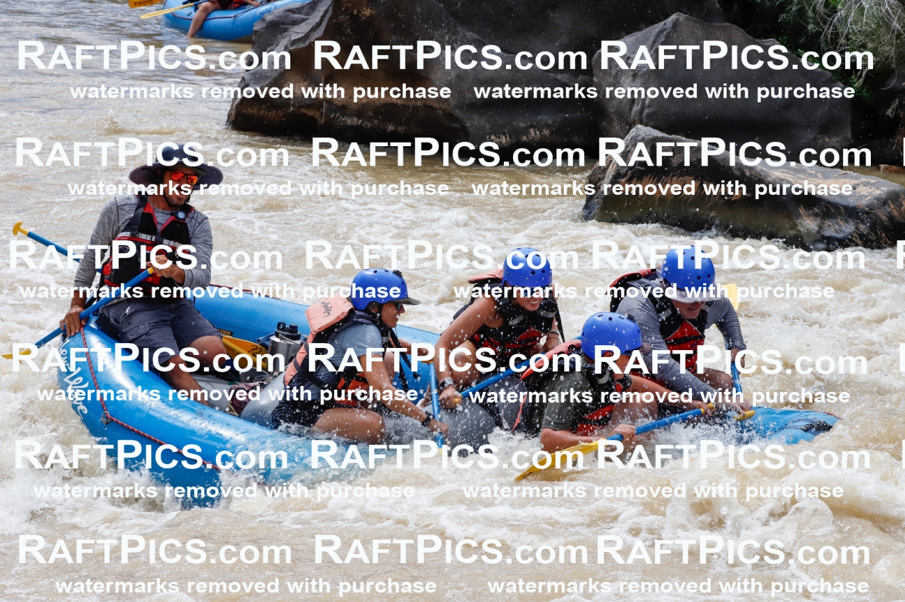 028030_RaftPics_August_14_NewWave_Racecourse_PM_Elias_TC_