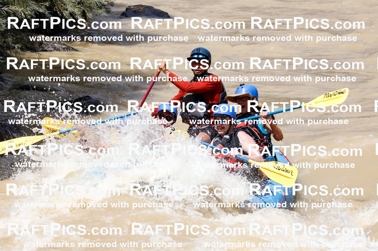 028037_RaftPics_August_14_NewWave_Racecourse_PM_Rui_TC_