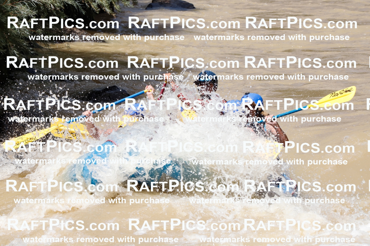 028038_RaftPics_August_14_NewWave_Racecourse_PM_Rui_TC_