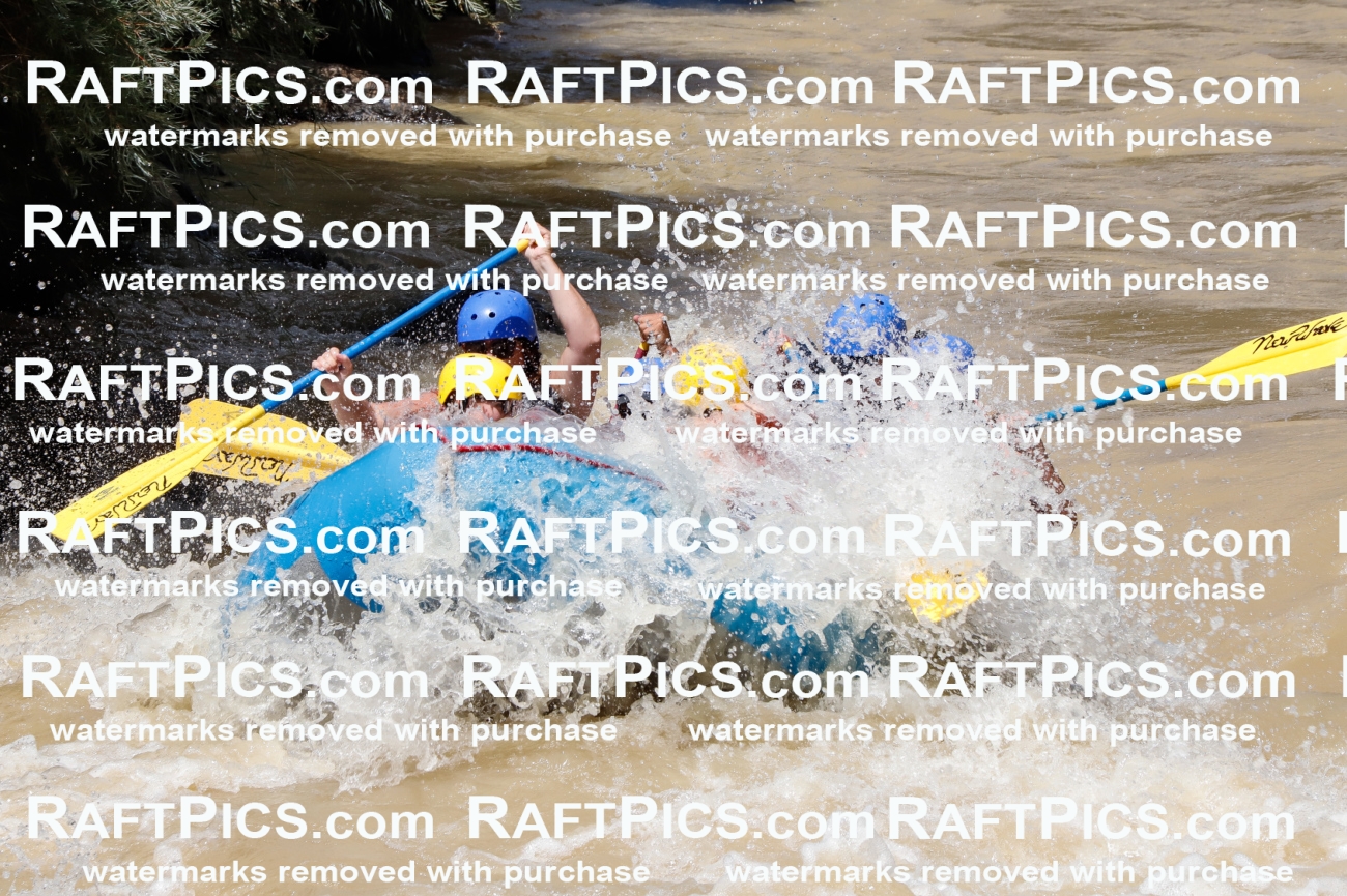 028039_RaftPics_August_14_NewWave_Racecourse_PM_Rui_TC_