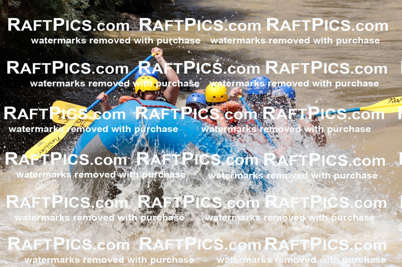 028040_RaftPics_August_14_NewWave_Racecourse_PM_Rui_TC_