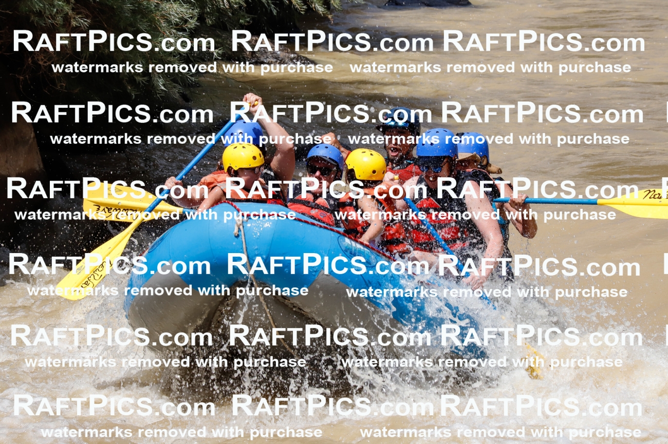 028041_RaftPics_August_14_NewWave_Racecourse_PM_Rui_TC_