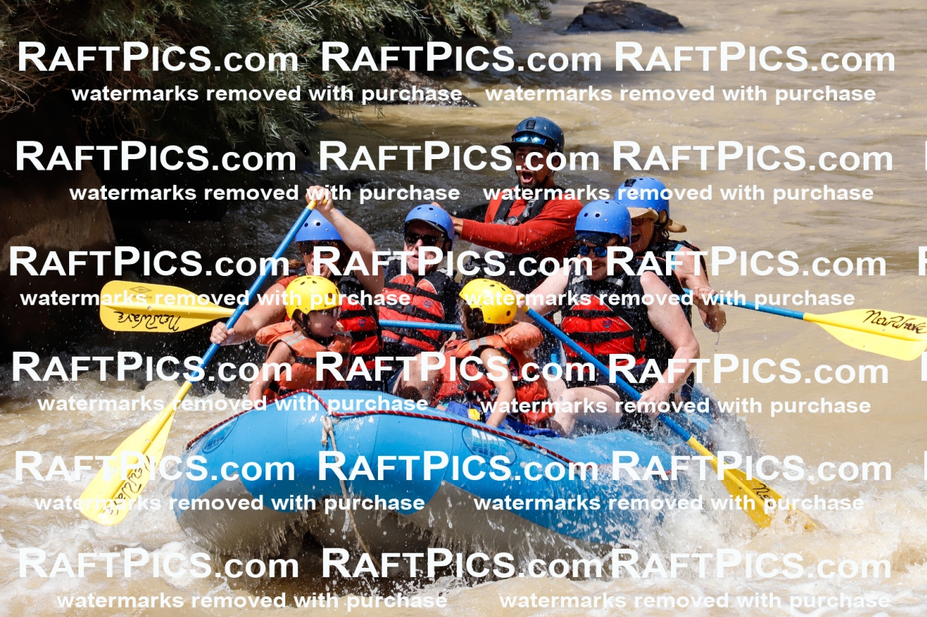 028042_RaftPics_August_14_NewWave_Racecourse_PM_Rui_TC_