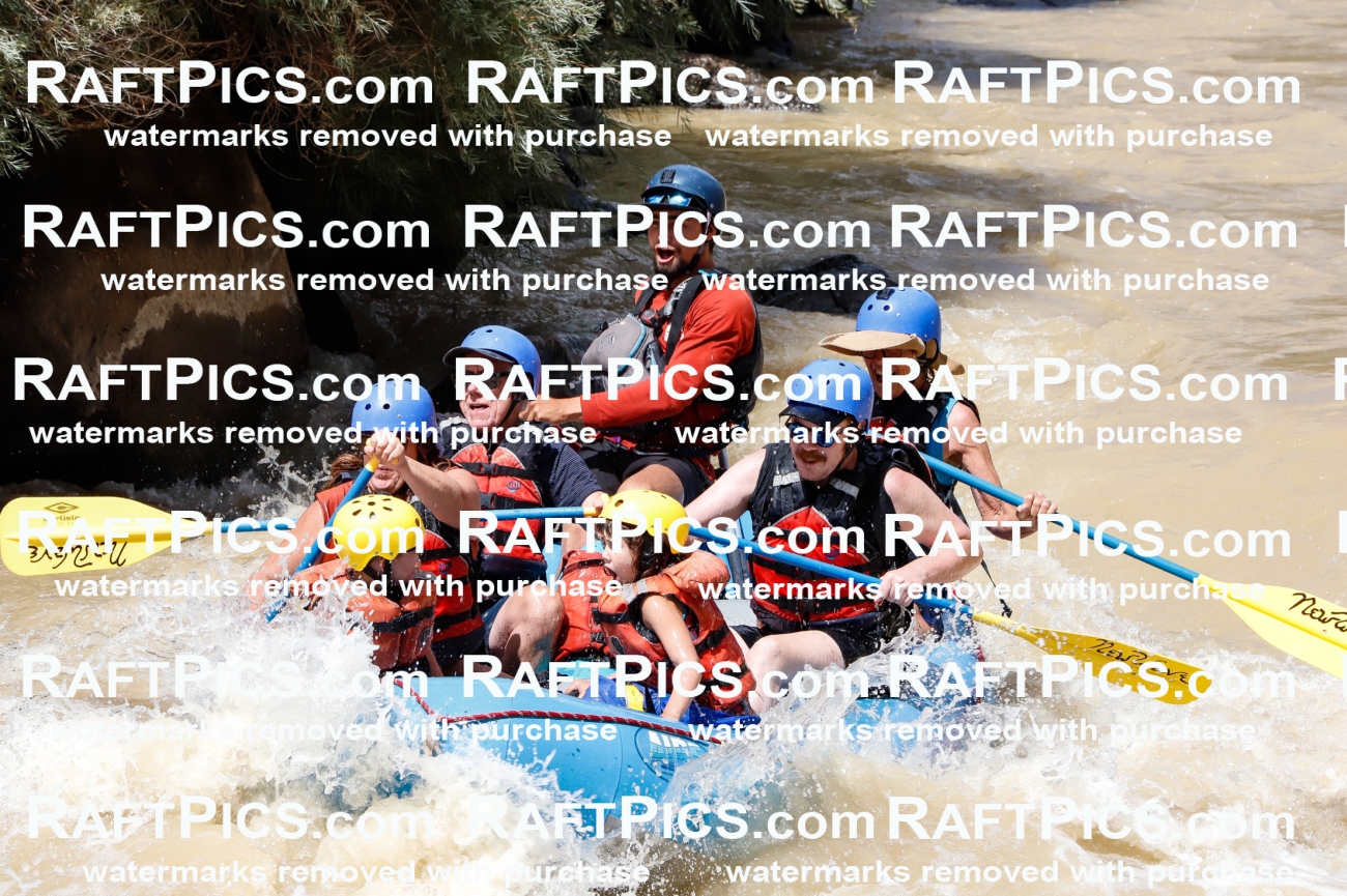 028044_RaftPics_August_14_NewWave_Racecourse_PM_Rui_TC_