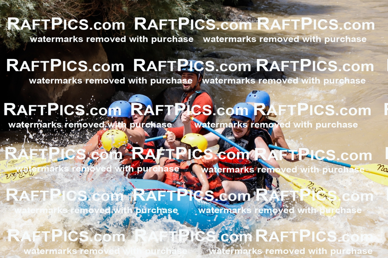 028045_RaftPics_August_14_NewWave_Racecourse_PM_Rui_TC_