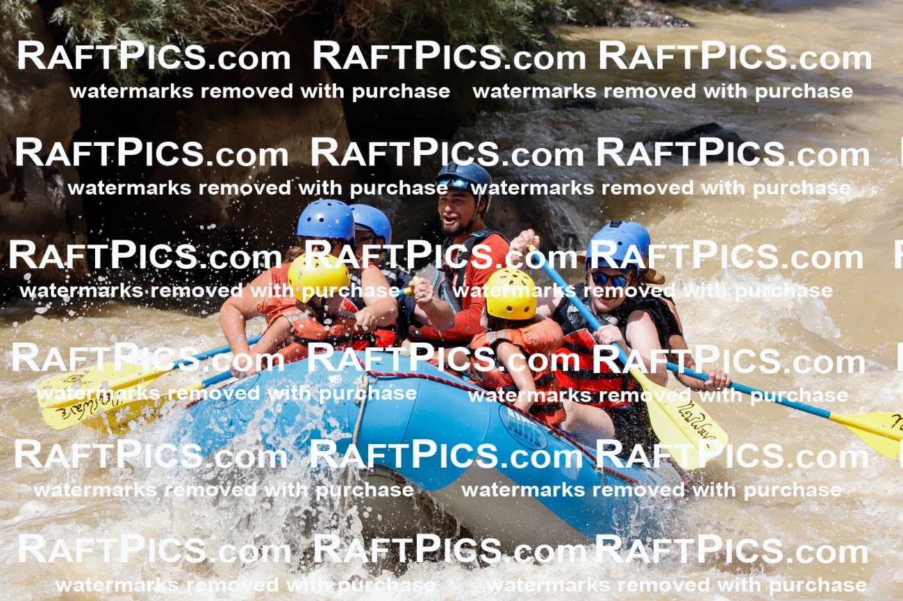 028046_RaftPics_August_14_NewWave_Racecourse_PM_Rui_TC_