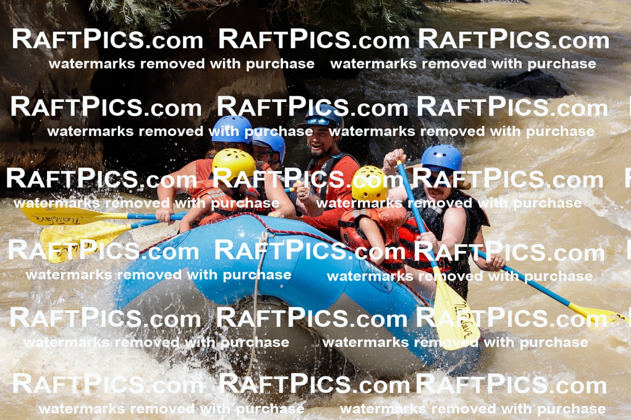 028047_RaftPics_August_14_NewWave_Racecourse_PM_Rui_TC_