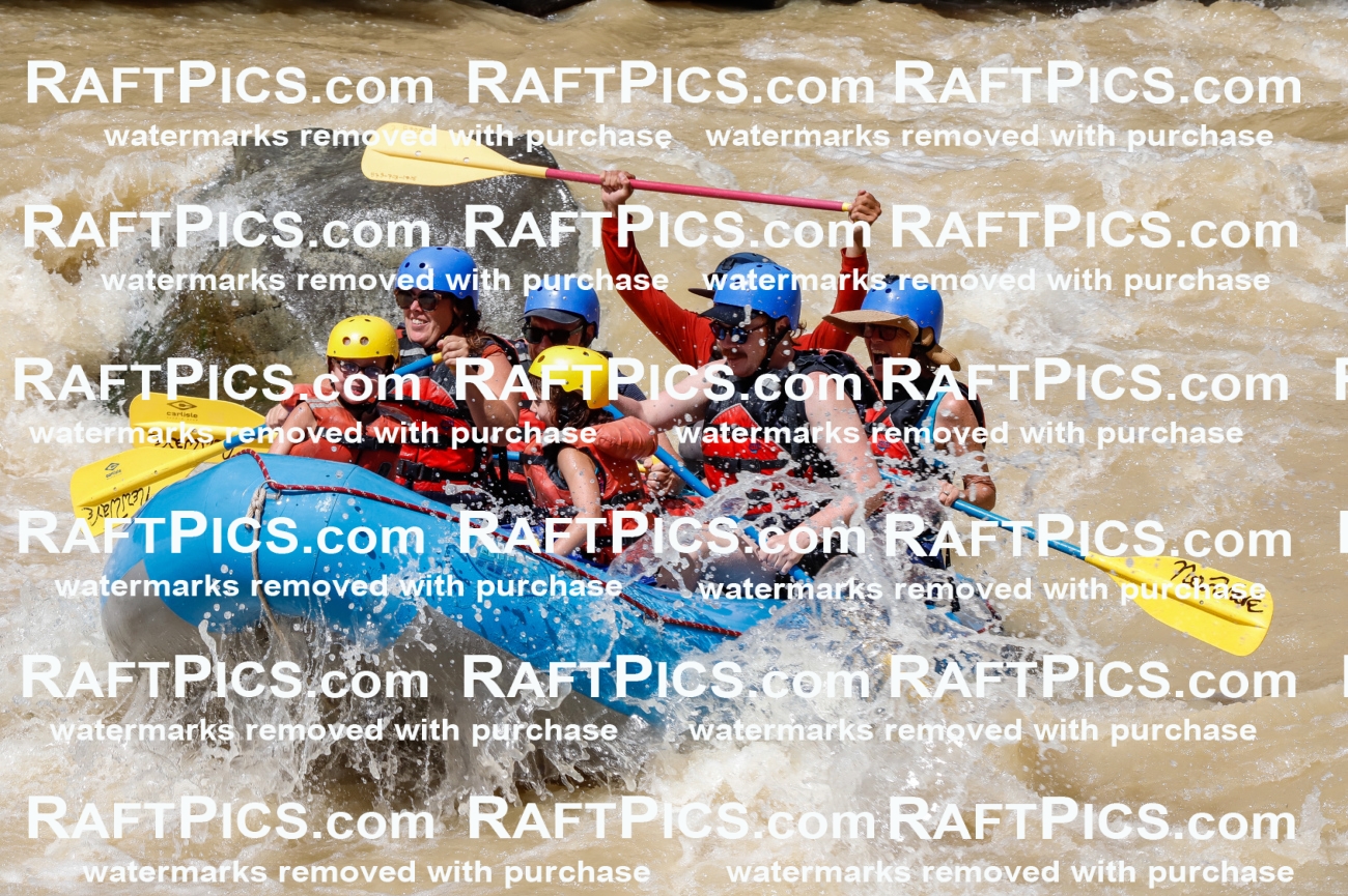 028058_RaftPics_August_14_NewWave_Racecourse_PM_Rui_TC_