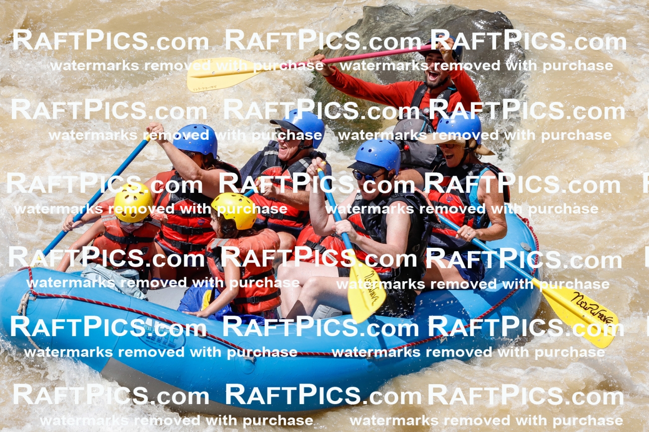 028062_RaftPics_August_14_NewWave_Racecourse_PM_Rui_TC_