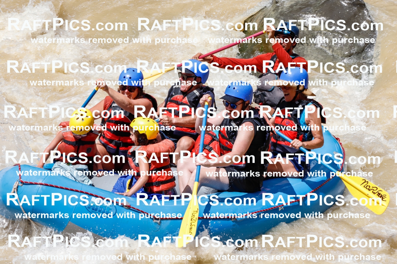 028063_RaftPics_August_14_NewWave_Racecourse_PM_Rui_TC_