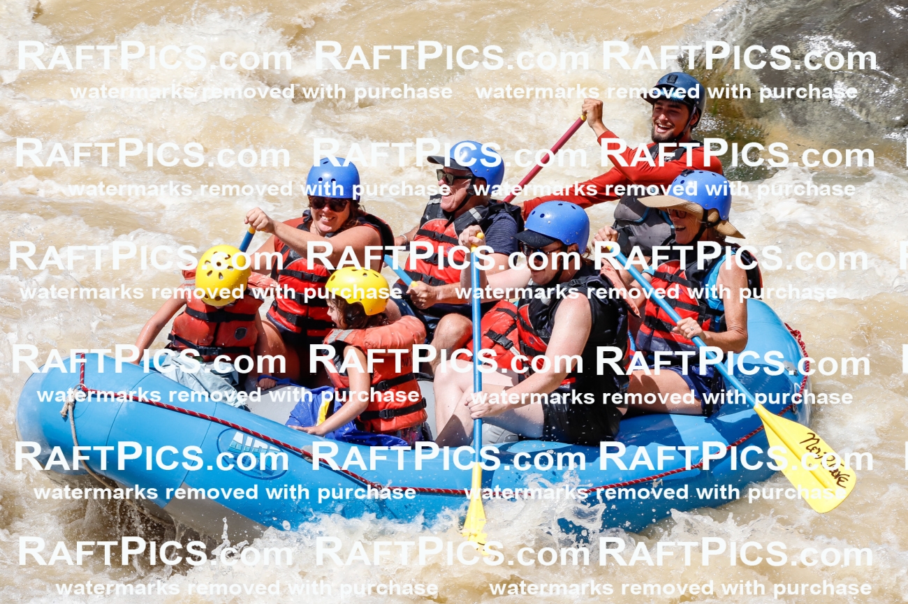 028064_RaftPics_August_14_NewWave_Racecourse_PM_Rui_TC_