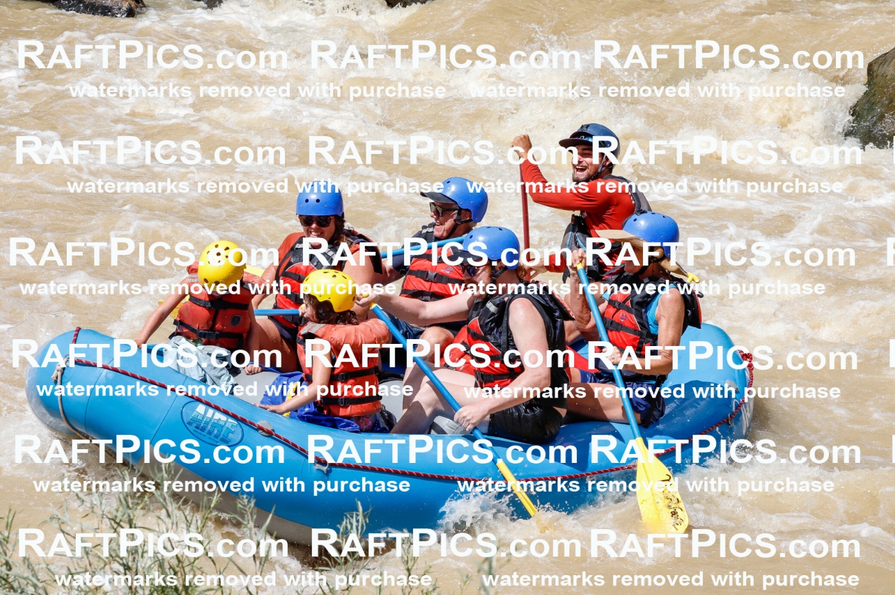 028067_RaftPics_August_14_NewWave_Racecourse_PM_Rui_TC_