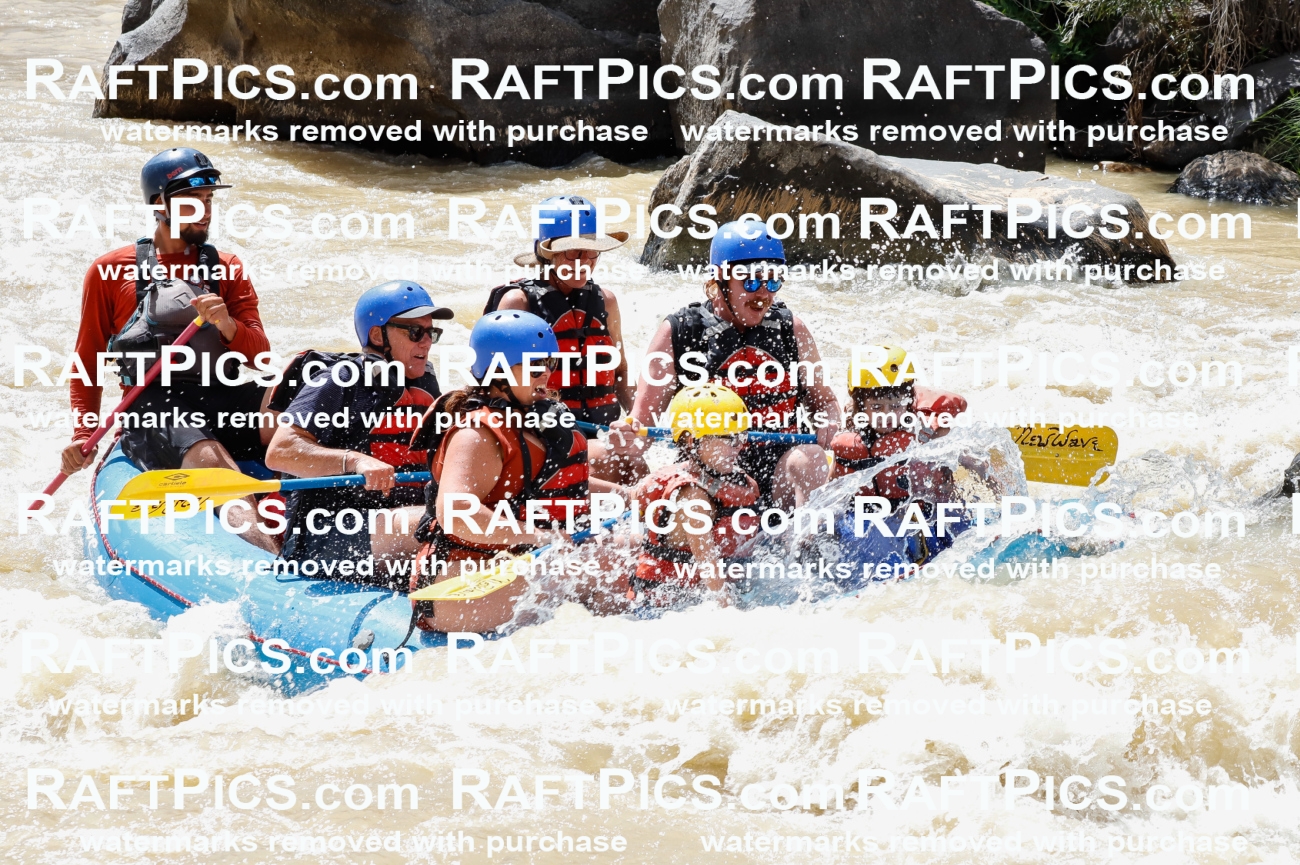 028069_RaftPics_August_14_NewWave_Racecourse_PM_Rui_TC_