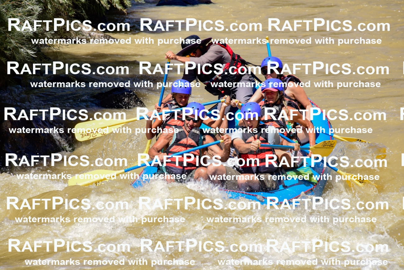 009395_Aug-15_New-Wave_PM_RAFTPICS_LA_Elias_