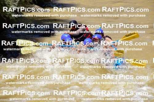 009396_Aug-15_New-Wave_PM_RAFTPICS_LA_Elias_