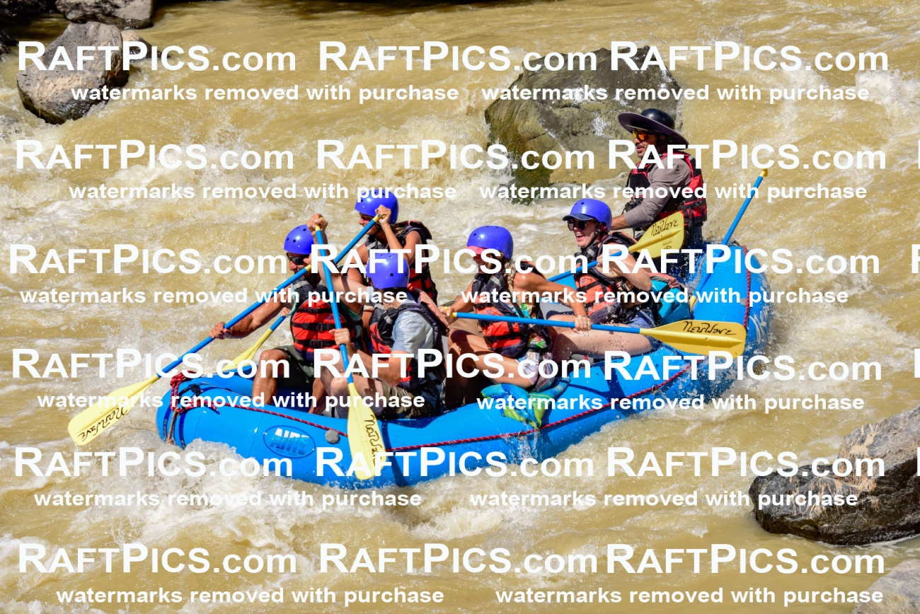 009419_Aug-15_New-Wave_PM_RAFTPICS_LA_Elias_