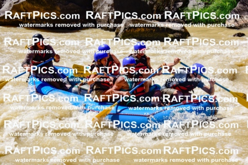 009432_Aug-15_New-Wave_PM_RAFTPICS_LA_Elias_