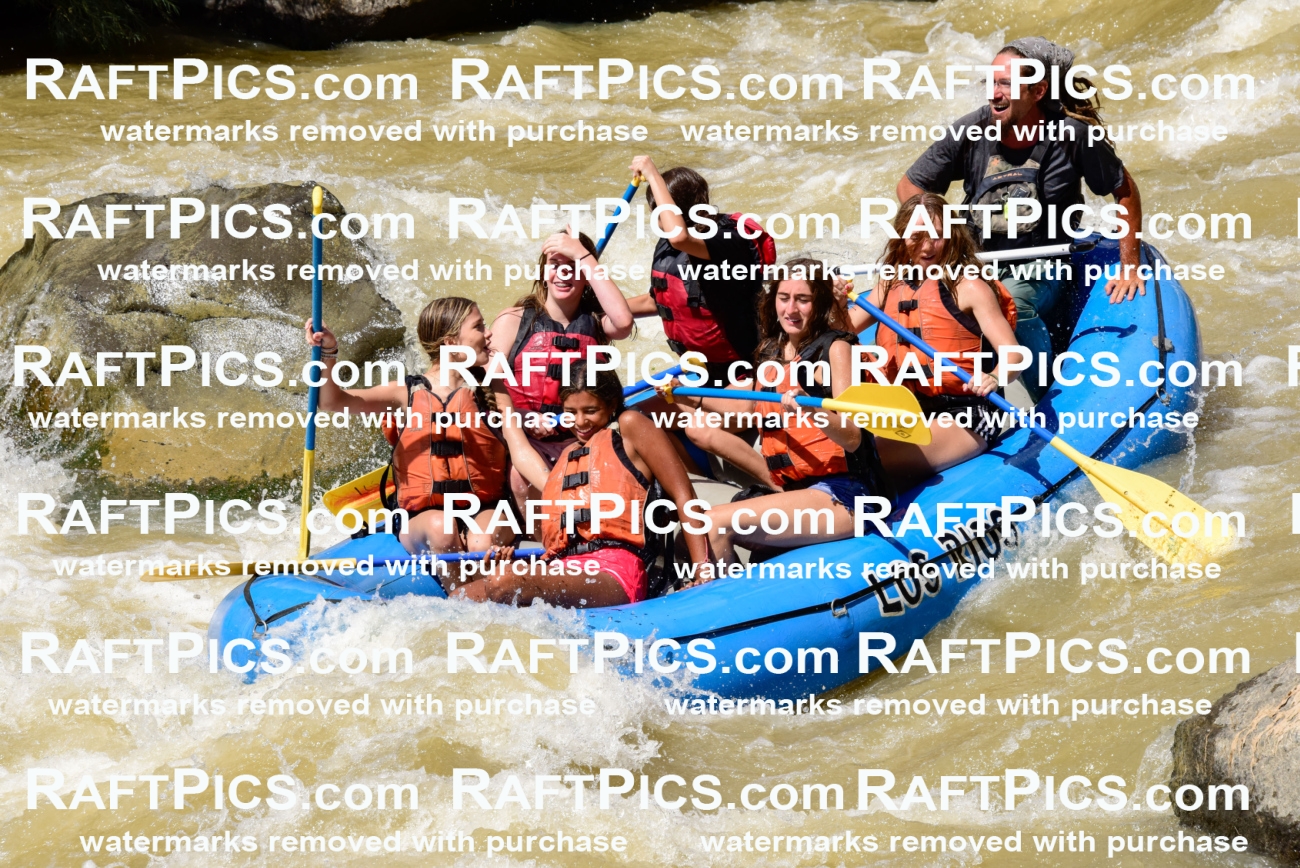 009764_Aug-16_LOsRios_PM_RAFTPICS_LA_SHay_