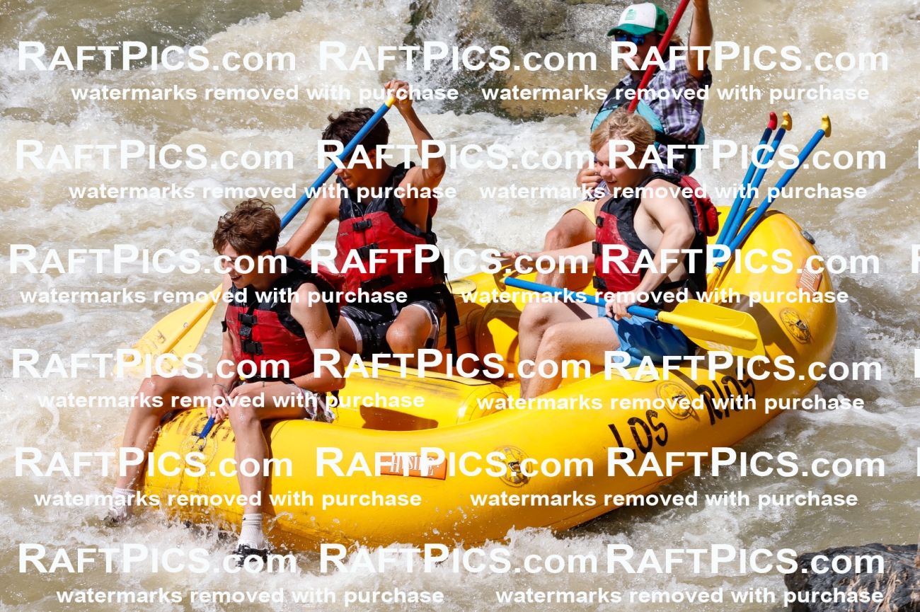 028134_RaftPics_August_16_LosRios_Racecourse_PM_Abe_TC_