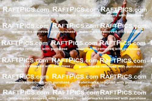 028135_RaftPics_August_16_LosRios_Racecourse_PM_Abe_TC_