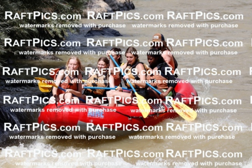 028137_RaftPics_August_16_LosRios_Racecourse_PM_Brodie_TC_