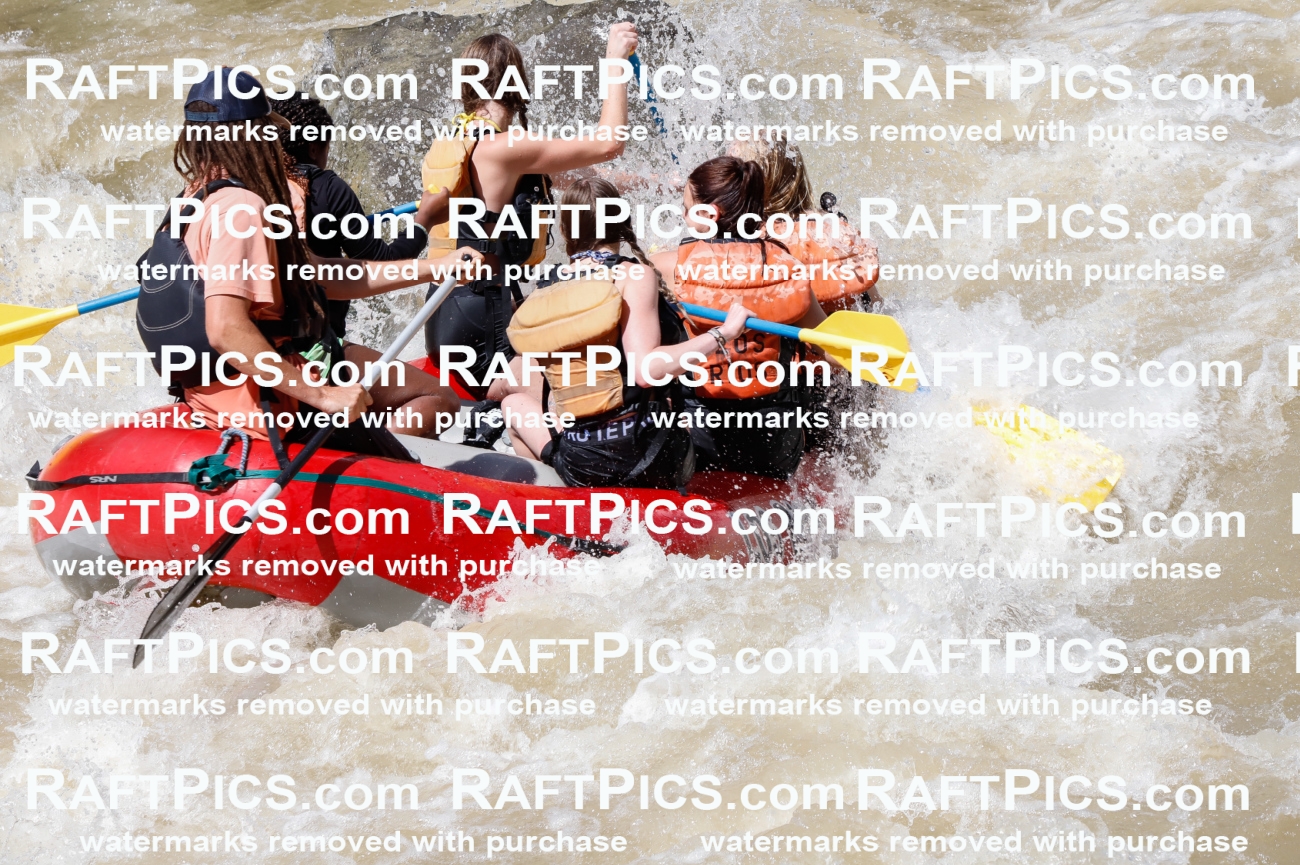 028281_RaftPics_August_16_LosRios_Racecourse_PM_Brodie_TC_