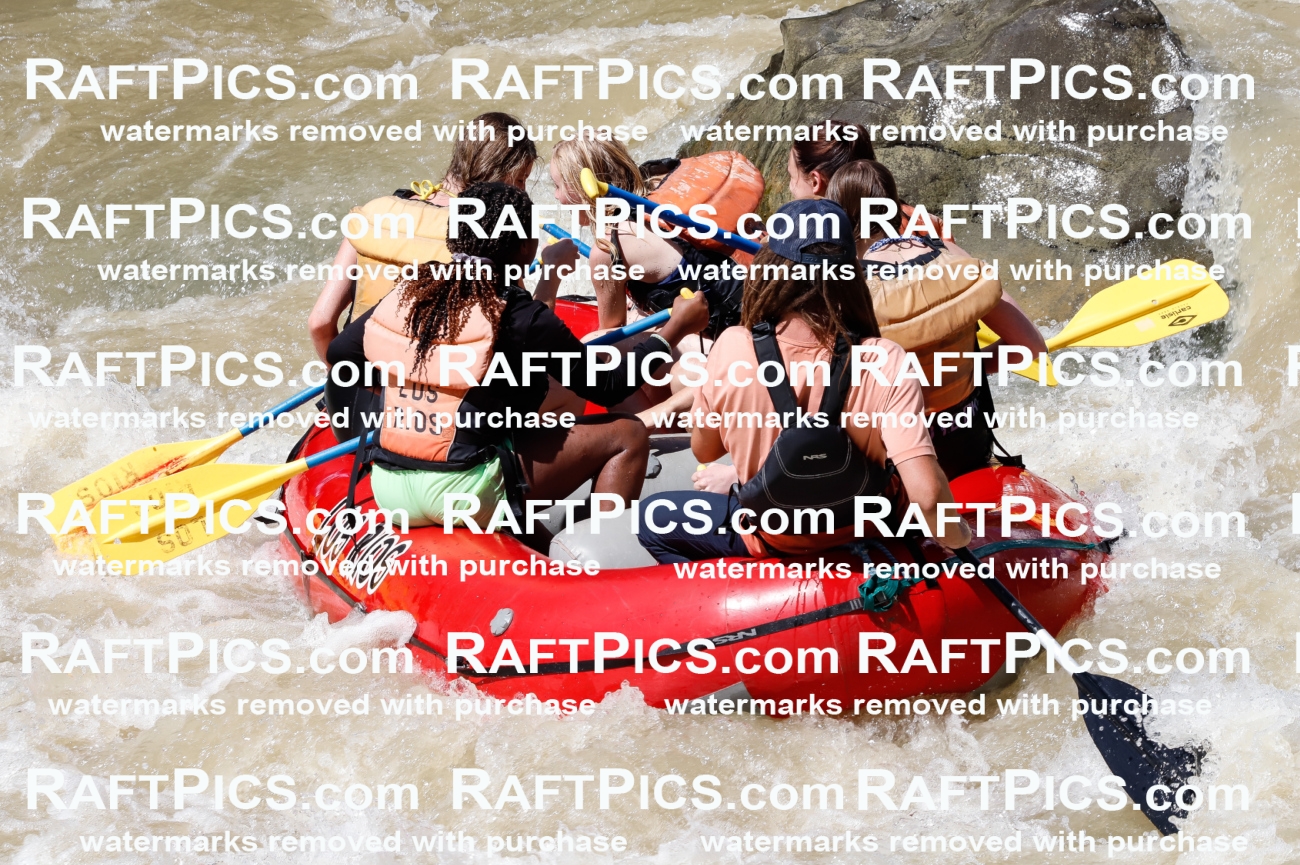 028283_RaftPics_August_16_LosRios_Racecourse_PM_Brodie_TC_